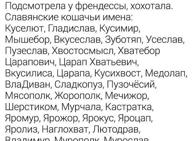 Клички для домашних котов