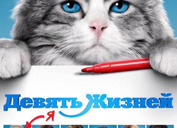 9 жизней кошки