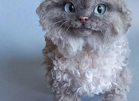 Кошки кудрявых пород