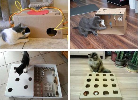Игрушки для кошек своими руками: 10 идей