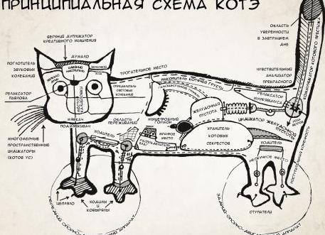 Принципиальная схема кота