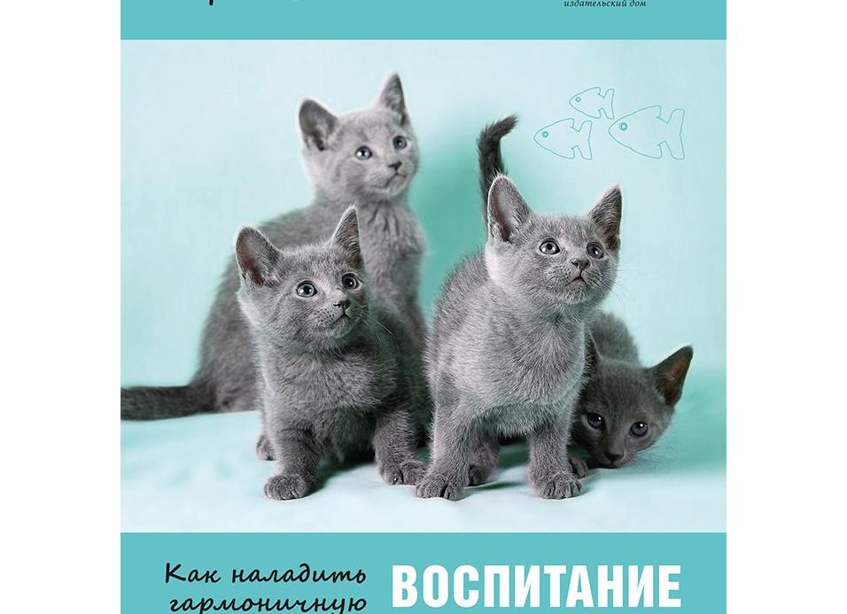 Воспитание кошки