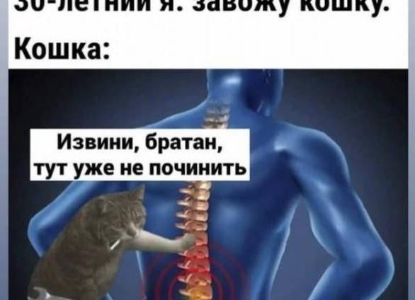 Как кошки лечат людей