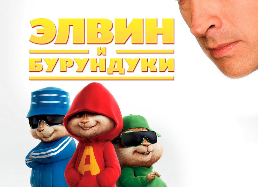 Кот и бурундук видео. Кто кого?