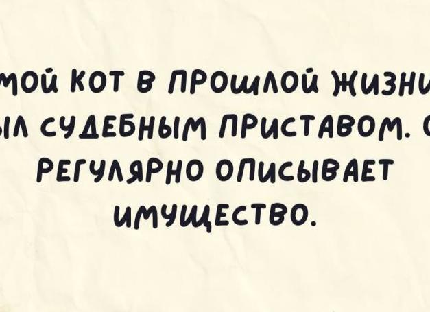 Мой кот в прошлой жизни был…